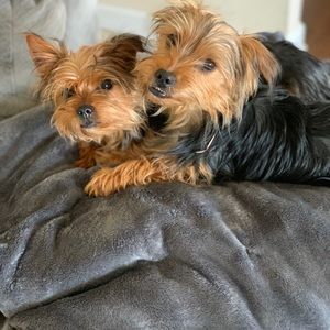 Meet your Posher, Tina